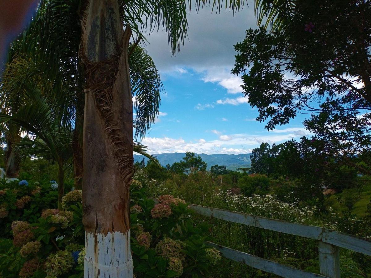 Sitio Pedacinho Do Ceu Na Serra Catarinense 한슈 케이마두 외부 사진