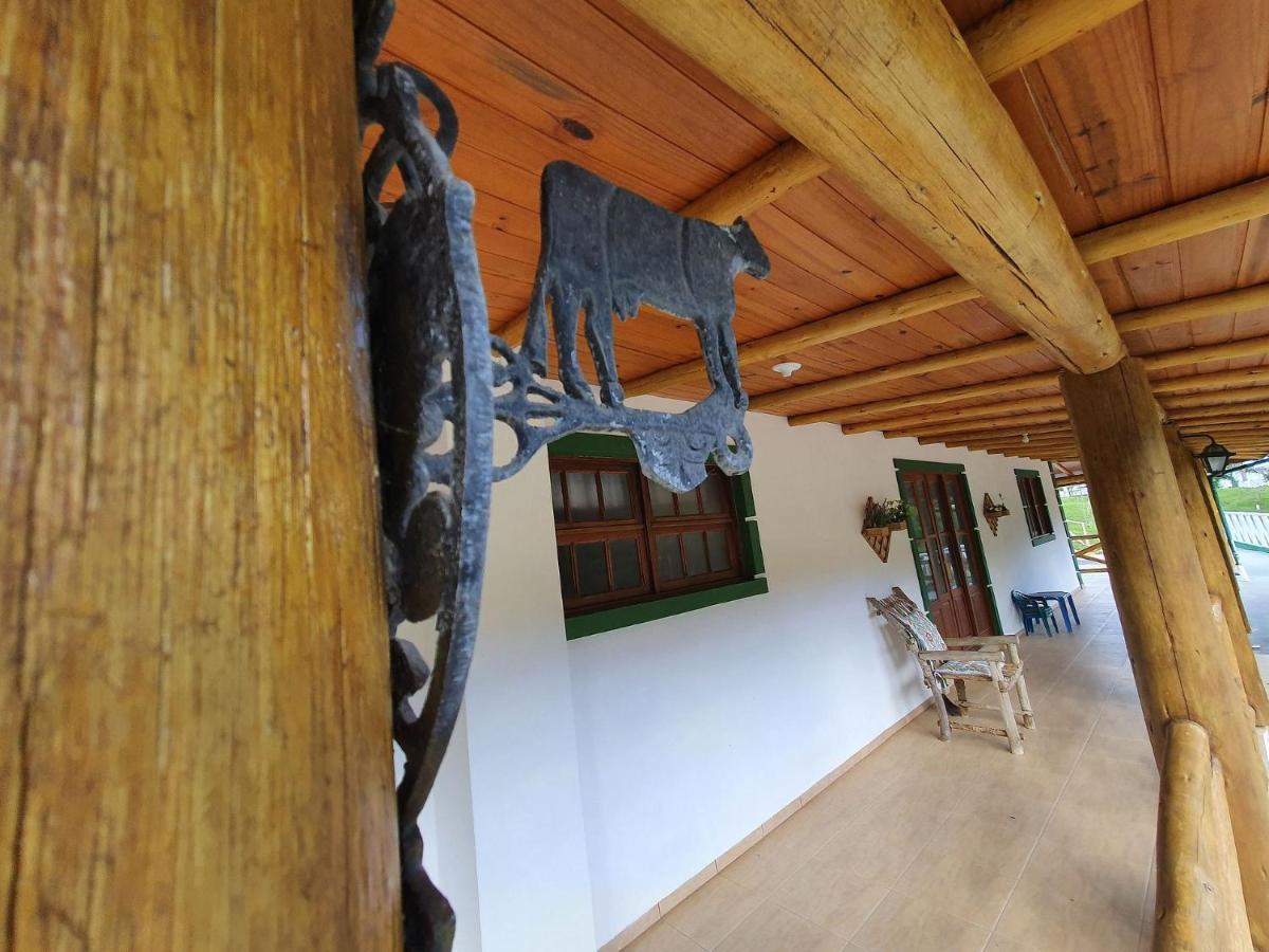Sitio Pedacinho Do Ceu Na Serra Catarinense 한슈 케이마두 외부 사진