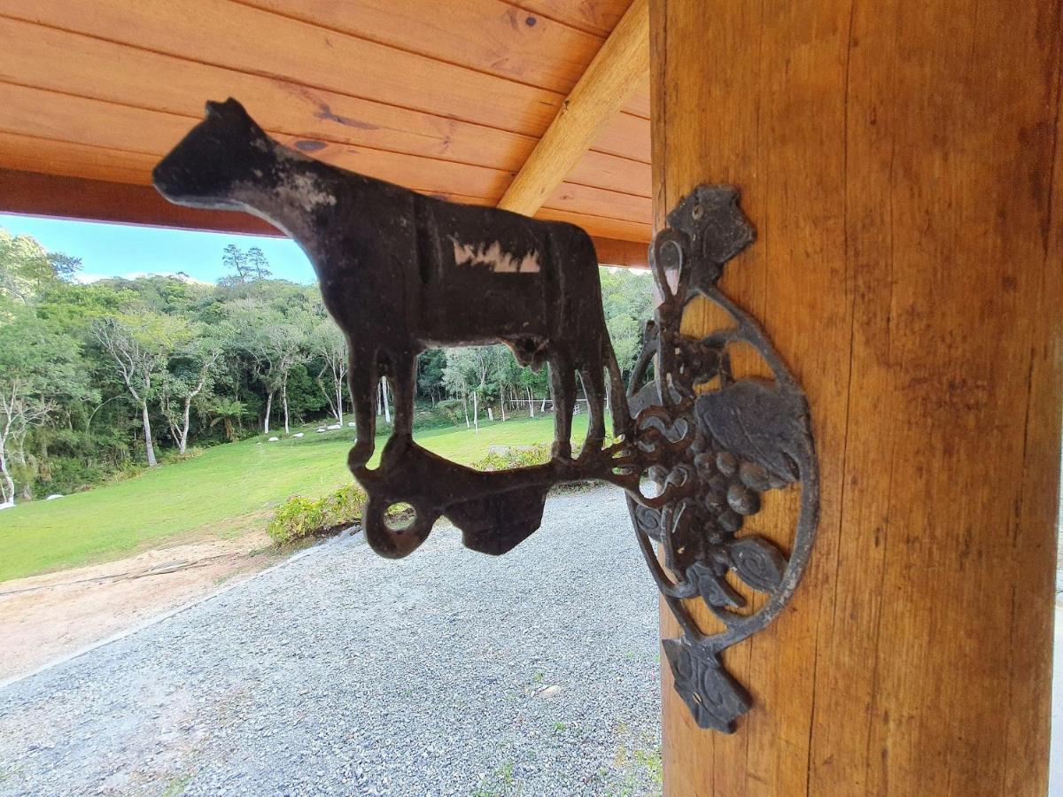 Sitio Pedacinho Do Ceu Na Serra Catarinense 한슈 케이마두 외부 사진